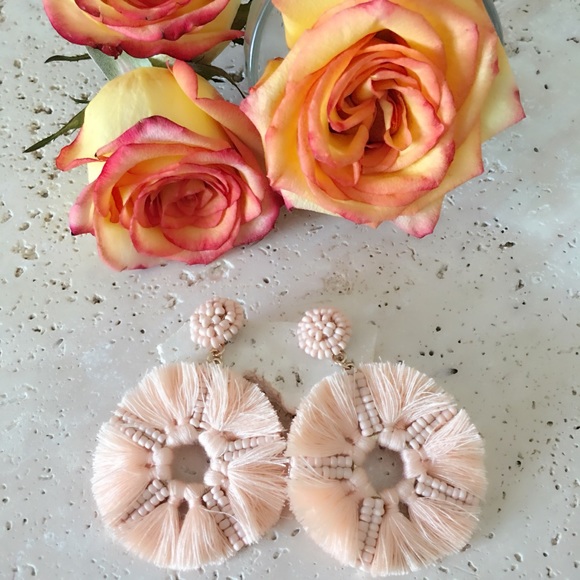 MischkaPu Jewelry - Coral Tassel Earrings